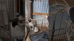 Мы переезжаем