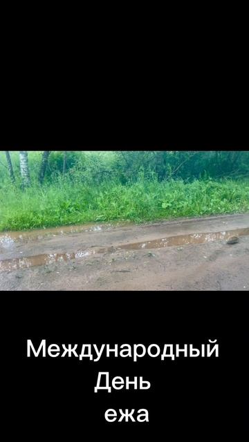 2 февраля 🦔