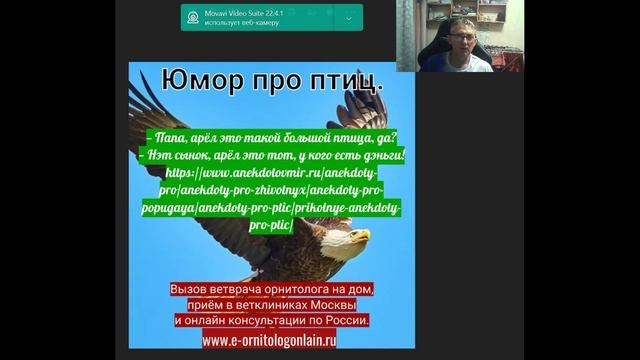 Юмор про птиц 2 смотреть онлайн