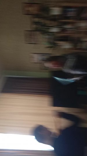 сражаемся вместе с капитаном ксениусом