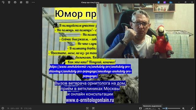 Юмор про птиц 8. смотреть онлайн