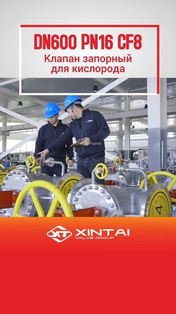 DN600 PN16 CF8 Клапан запорный для кислорода-XINTAI DN600 PN16 CF8 Клапан запорный для кислорода-XINTAI