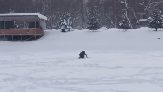 5716.mp4 смотреть онлайн