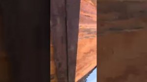 31 января 2026 г [get.gt] (1)