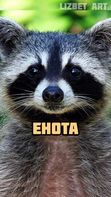 Рисую несуществующее животное🦝+🐪=❓(ч.122) #tiktok #shorts #art #gouach Рисую несуществующее животное🦝+🐪=❓(ч.122) #tiktok #shorts #art #gouach