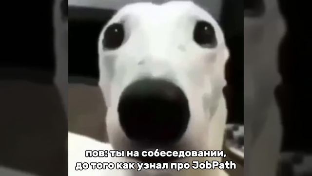Чувствуй себя уверенно с JobPath #работа #IT #карьера #собеседование #оффер #скрининг #ai смотреть онлайн