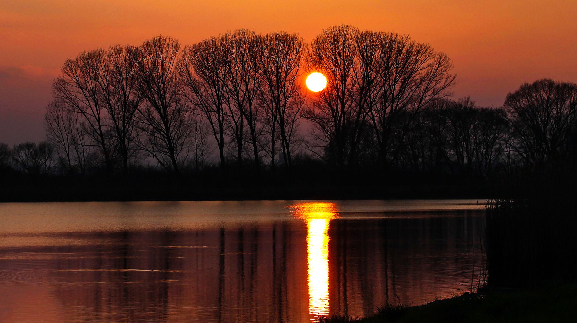 ✨ ОЧЕНЬ КРАСИВАЯ УСПОКАИВАЮЩАЯ МУЗЫКА ДЛЯ СНА 🎵 РАССЛАБЛЯЮЩАЯ МУЗЫКА ДЛЯ ДУШИ В ЛУЧАХ ЗАКАТА смотреть онлайн