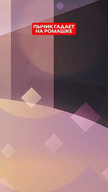 🌼 Пычик срывает лепестки