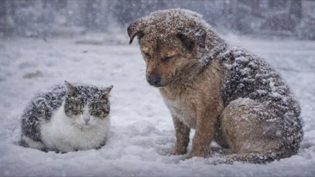 ТВОРИ ДОБРО...! смотреть онлайн