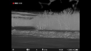 ОХОТА на ВОЛКОВ. Лес весь в крови, волки режут диких животных.