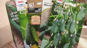 БОЛЬШОЙ ОБЗОР СЕМЯН ОГУРЦОВ. НОВИНКИ и ФАВОРИТЫ #огурцы#урожай #огород #новинки #чтопосеять #семена