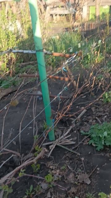 1000006102.mp4 1000006102.mp4