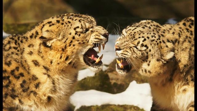 Это — МОЁ!!!