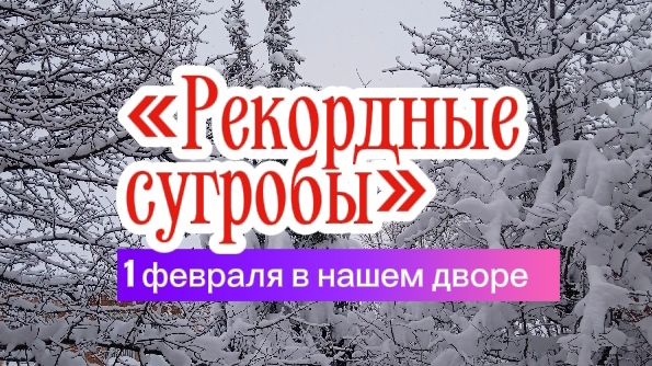 Рекордные сугробы 1 февраля в нашем дворе