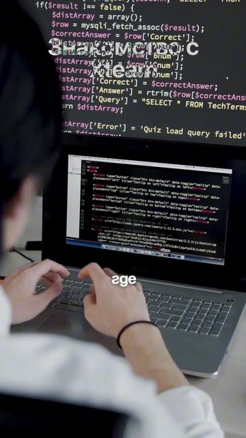 Чем занимается команда xteam.pro