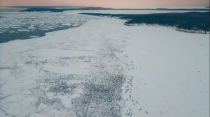 Как отрывает лёд с людьми.