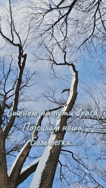 Господь мой, Бог, Творец вселенной! Мне силы дай всё превозмочь. Будь рядом! Будь моей опорой! смотреть онлайн