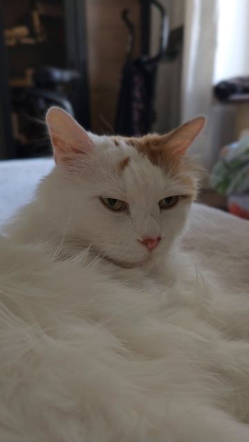 1000020788.mp4 1000020788.mp4