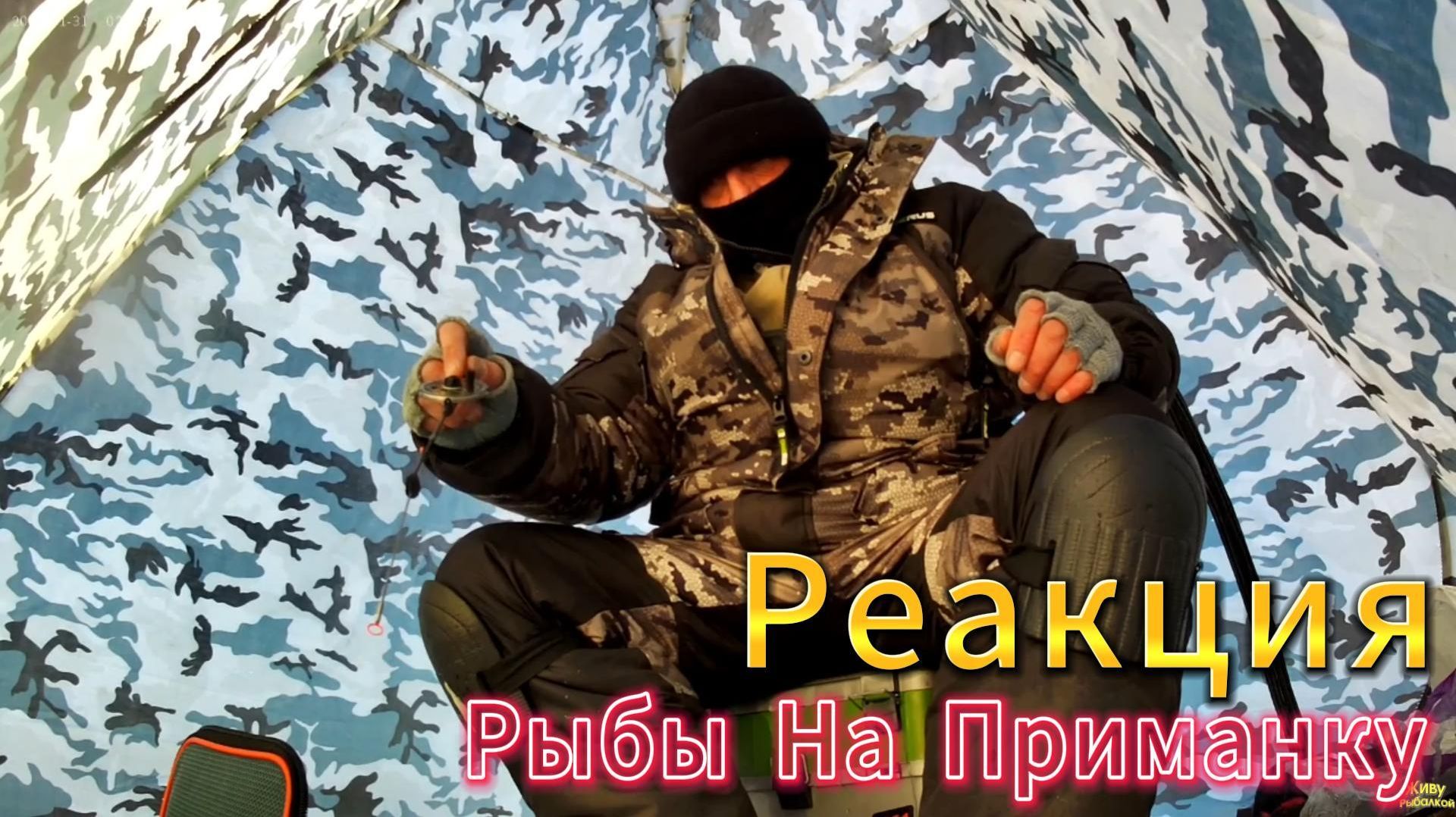 Рыбалка РЕАКЦИЯ РЫБЫ Блесна или Балансир КАМЕРА ЗАПИСАЛА БОЛЬШИЕ СТАИ КРУПНОЙ ПЛОТВЫ И ЛЕЩА