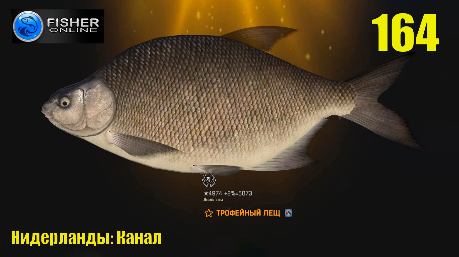 164 Нидерланды: Канал ч.7 Путь к серебру: крупный и трофейный лещ.  Прохождение Fisher Online
