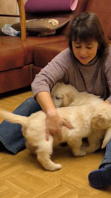 Сладкая четверка смотреть онлайн