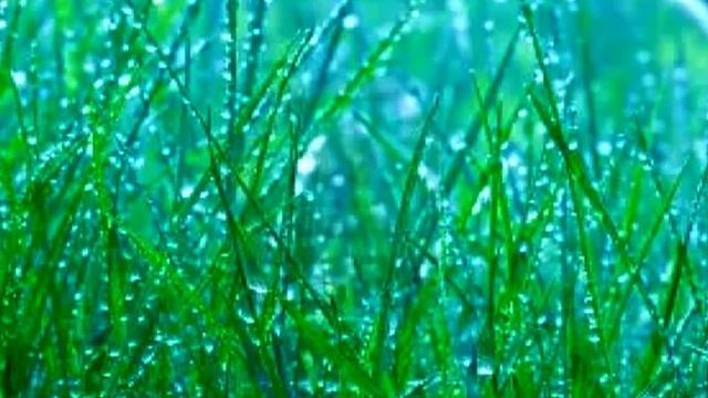 Быстрое снятие невроза, страха, стресса, агрессии смотреть онлайн