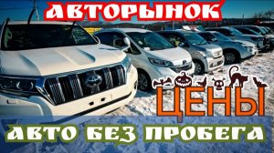 ЦЕНЫ НА АВТО БЕЗ ПРОБЕГА