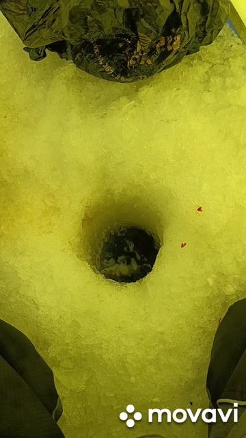 супер рыбалка