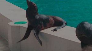 отдых в Крыму