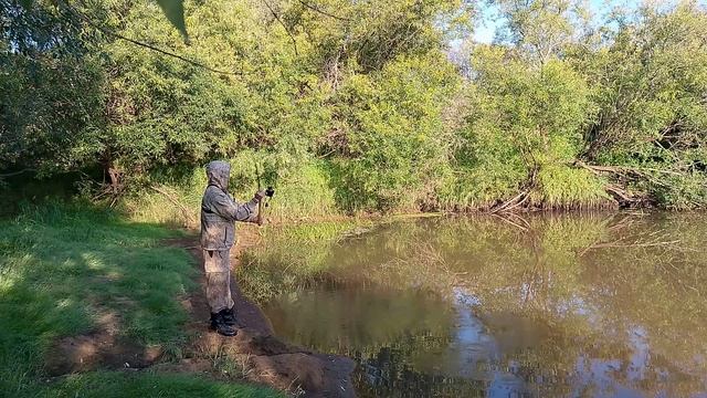 Окунёвый день