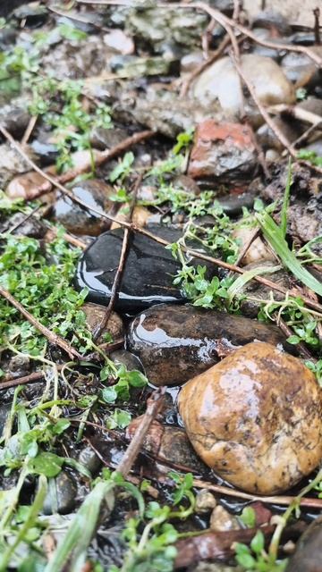 01.02.2026 #сегоднятак #природа #прырода #табиғ #自然 #natureza #natura #자연 #طبيعة #प्रकृति #nature 01.02.2026 #сегоднятак #природа #прырода #табиғ #自然 #natureza #natura #자연 #طبيعة #प्रकृति #nature