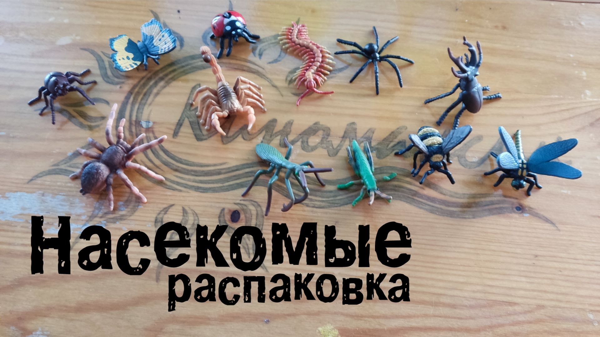 Насекомые (распаковка) смотреть онлайн