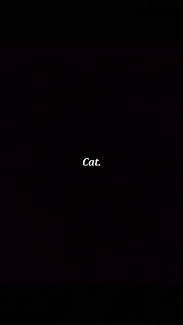 Испуг котеек 😂