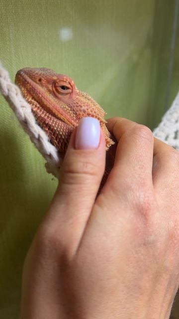 Разница очевидна))