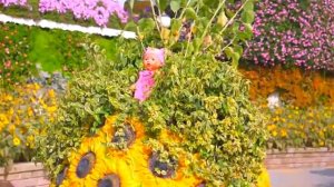 Настя и кукла пупсик играют в прятки в парке Nastya and baby doll playing hide and seek (360p)