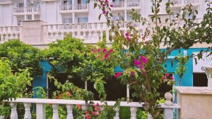 Обзор территории пансионата «Манас» Гагра, Абхазия #Манас #Пансионат #Гагра #Абхазия