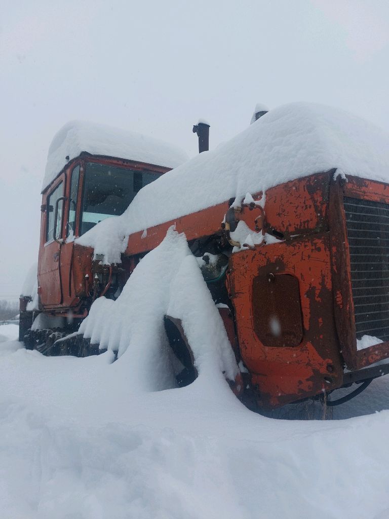 Всё засыпало снегом! смотреть онлайн