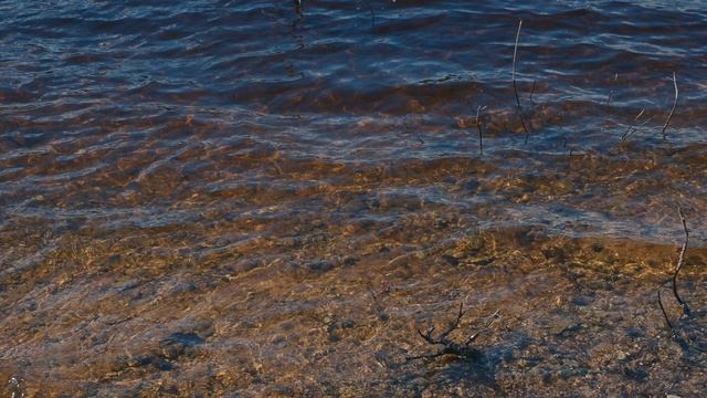 Майское сборище джебеловодов 23