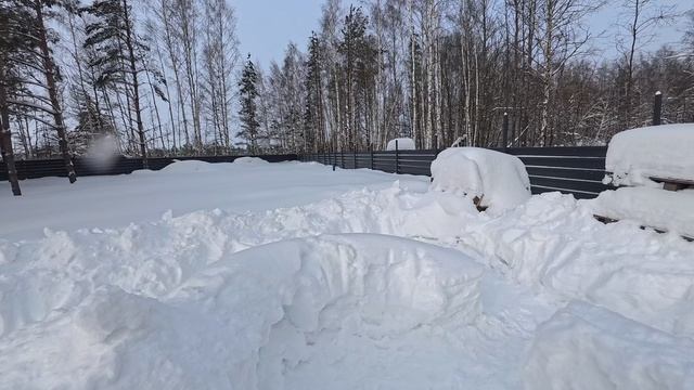 VID_20260201_131908_123 VID_20260201_131908_123