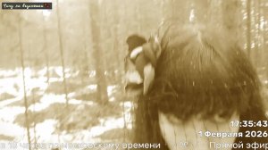 Вечер душевных песен 01.02.2026