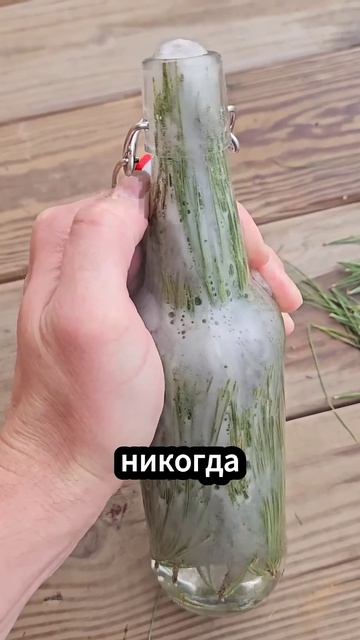 1000103982.mp4 смотреть онлайн