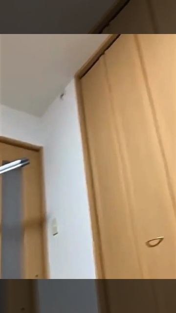 Паучий засос смотреть онлайн