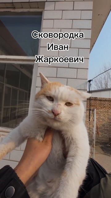 а вас как зовут по ФИО

тгк: https://t.me/kopilochkaw