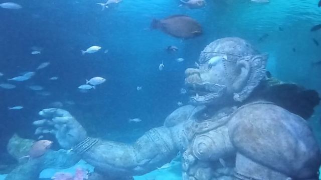 СТОИТ ЛИ посетить океанариум Пхукета. Конечно стоит