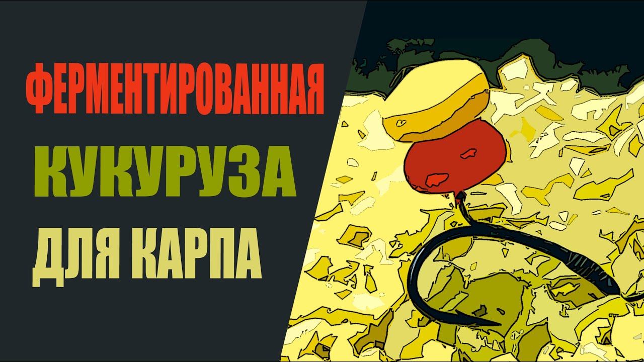 Ферментированная кукуруза для карпа. смотреть онлайн