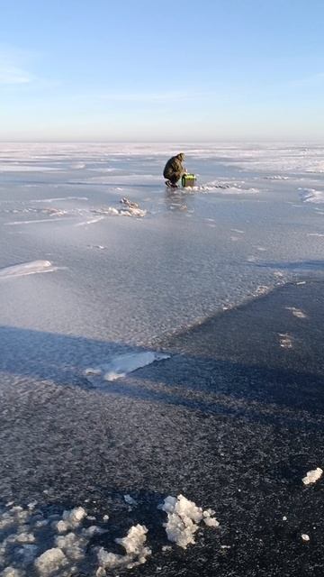 отчёт по окунь на куршском заливе смотреть онлайн