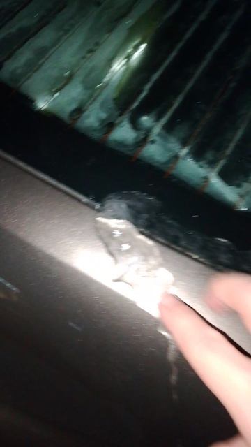 Как убрать эту наледь на багажнике? смотреть онлайн