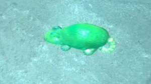 это блу когда узнал что на него сделали разоблачение