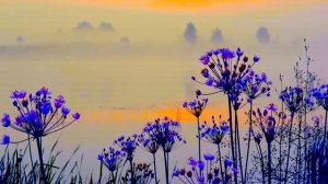 141 Предвидение (1)(Поэма Е.Гусева)
Три Веры В раздоре.