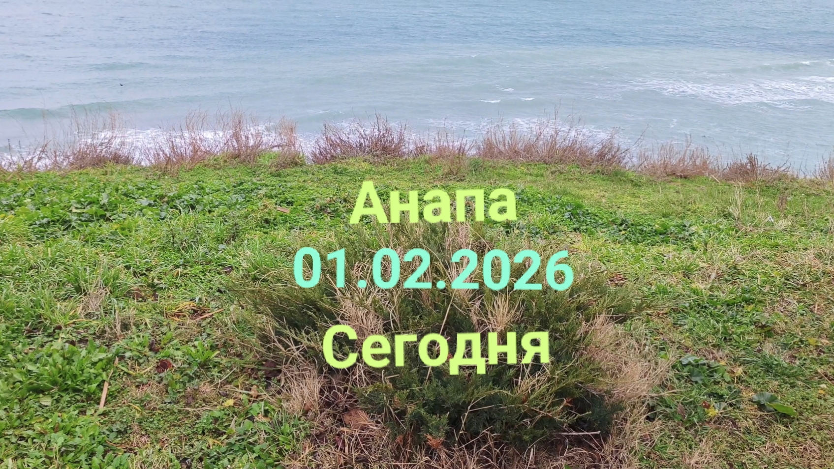 Анапа 01.02.2026 Сегодня смотреть онлайн